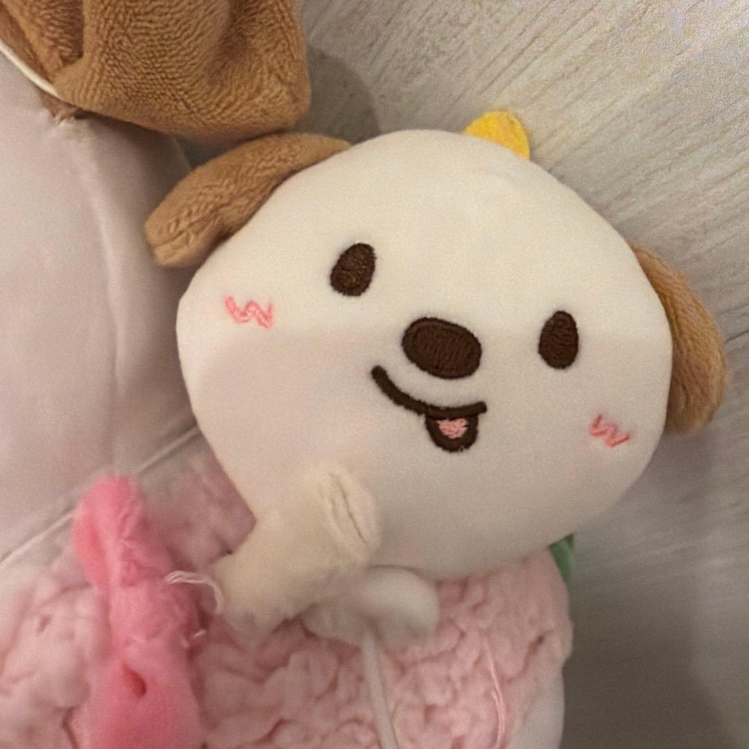 riize anton犬のぬいぐるみ ピンク 約30cm