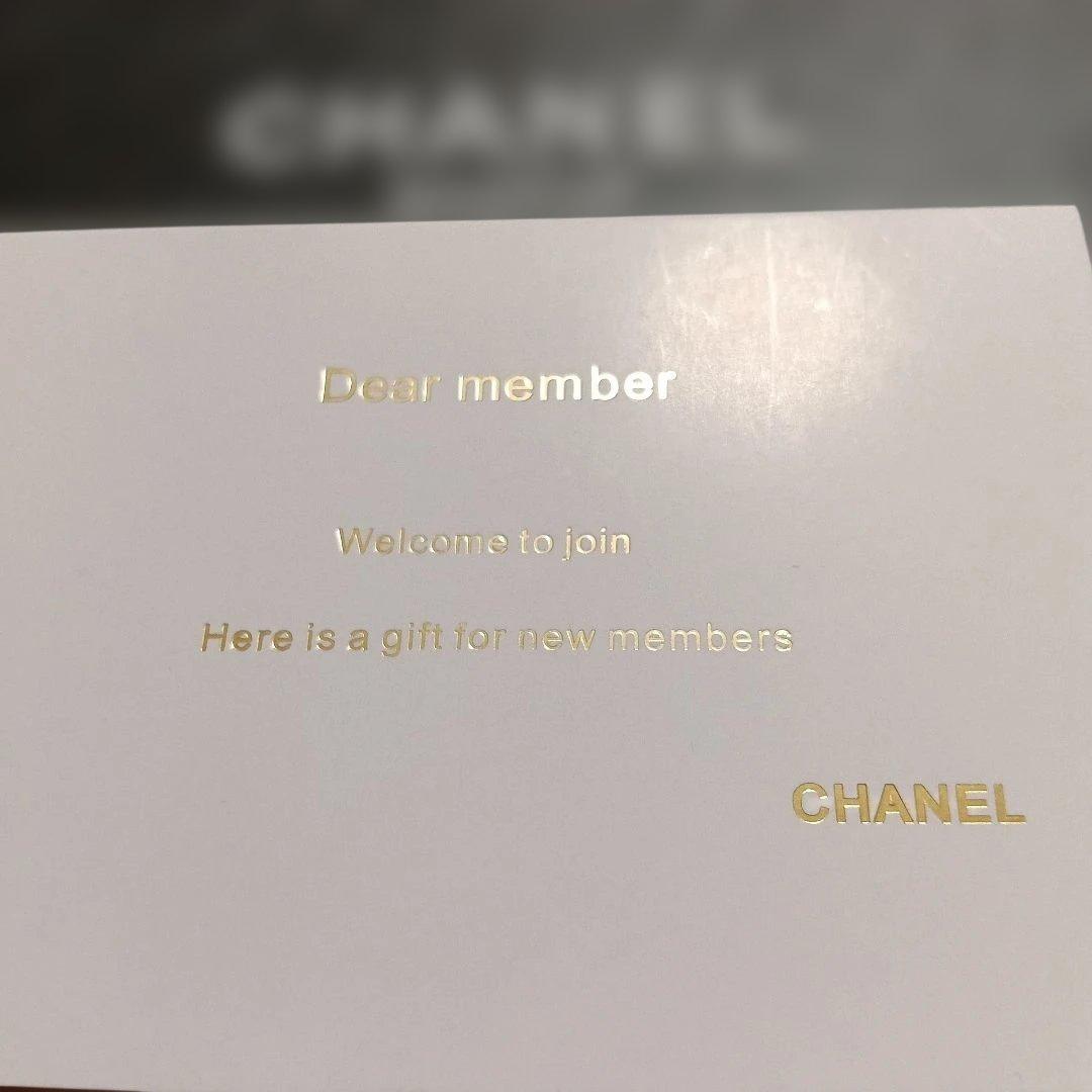 CHANEL ネイビー ツイード リュック　　シャネル　バッグパック