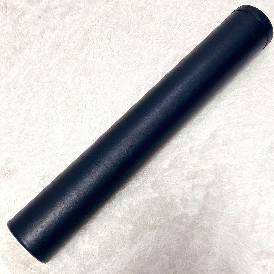 【美品】LPN 正規品 ストレッチポール EX ネイビー