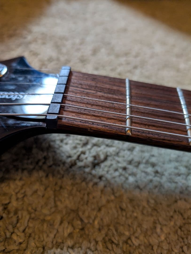 PRS SE CUSTOM22 Whale Blue フレイムメイプル