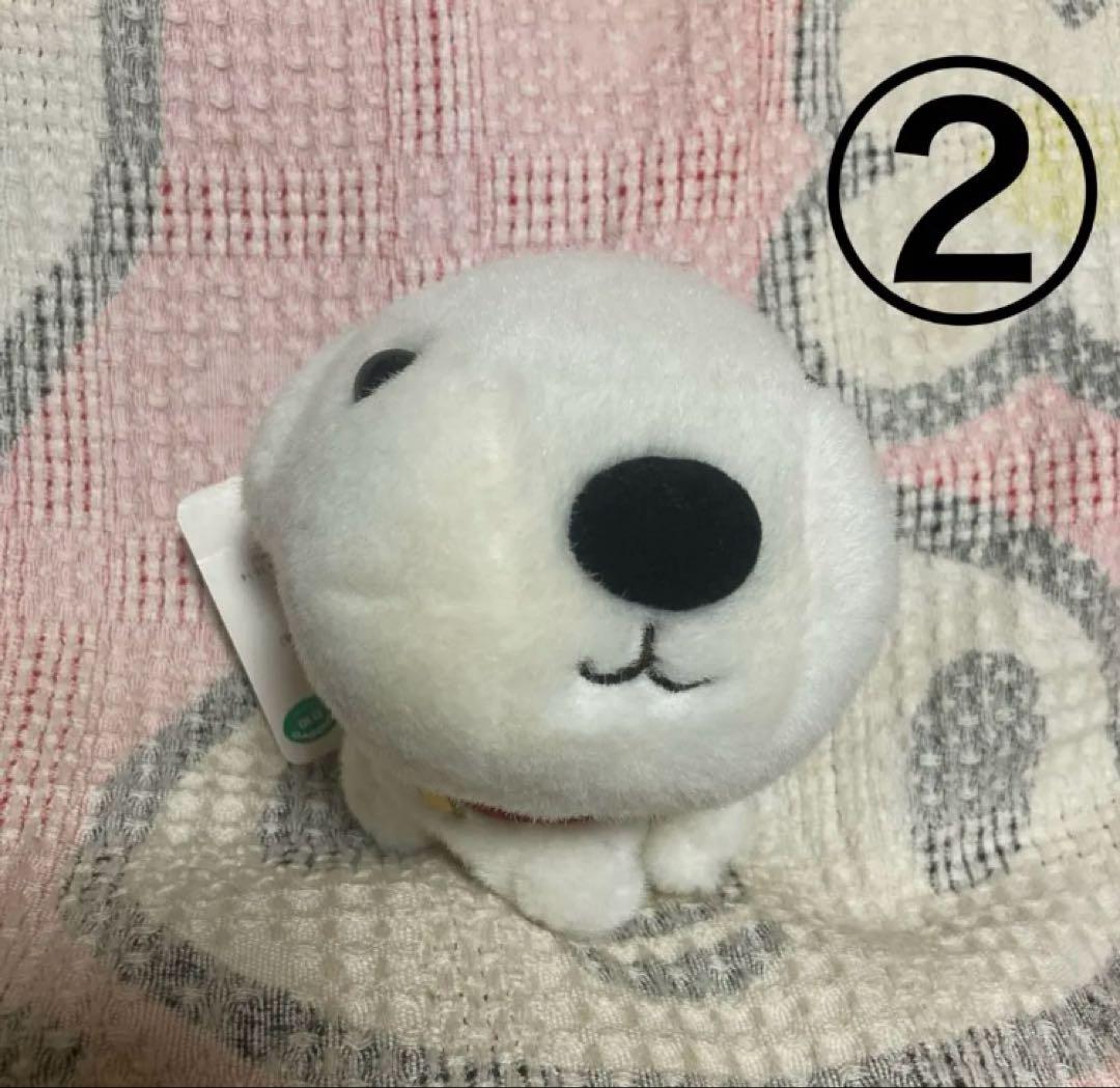 NHK 2008 Little Charo チャロ　ぬいぐるみ　中古品