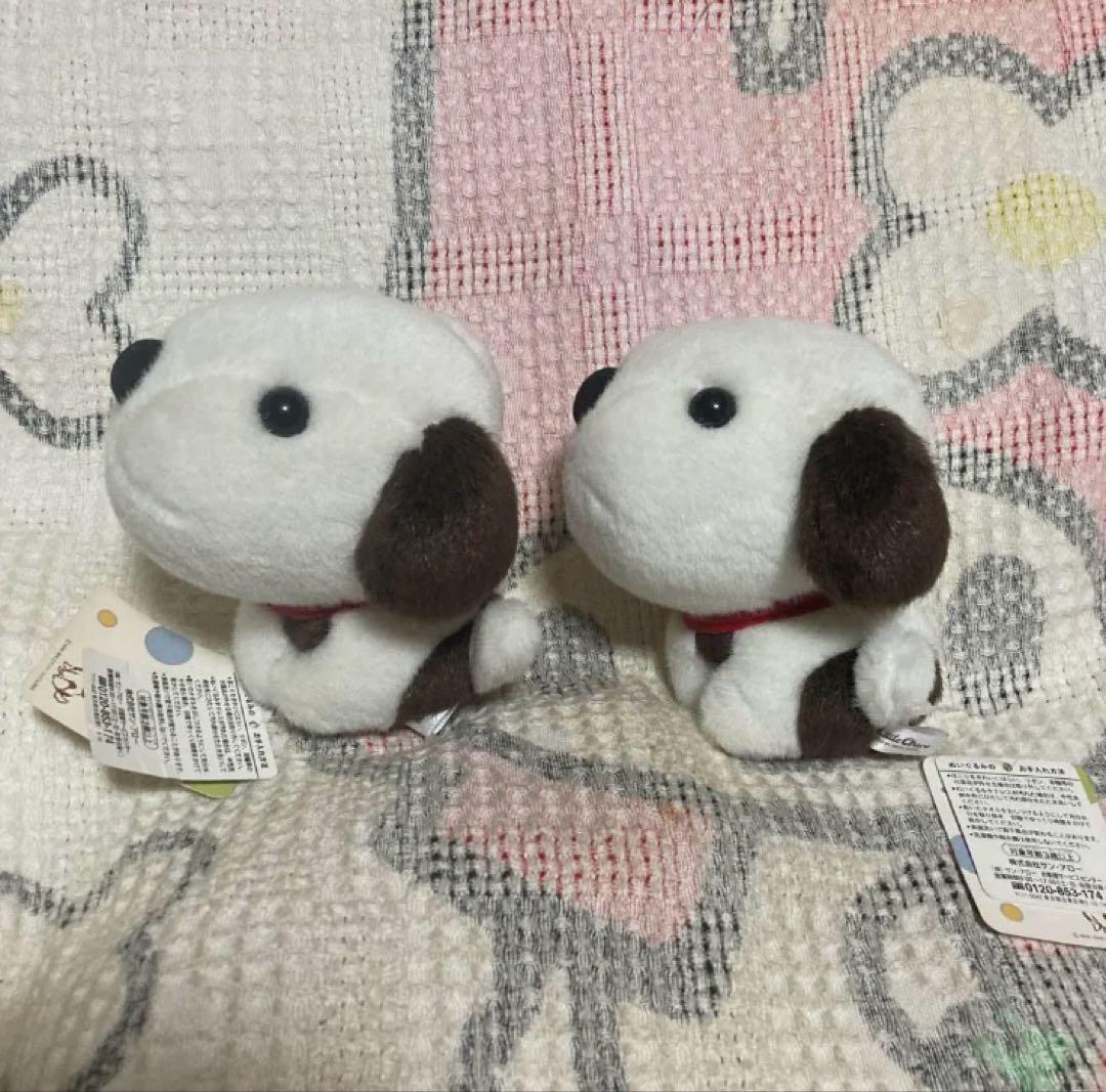 NHK 2008 Little Charo チャロ　ぬいぐるみ　中古品