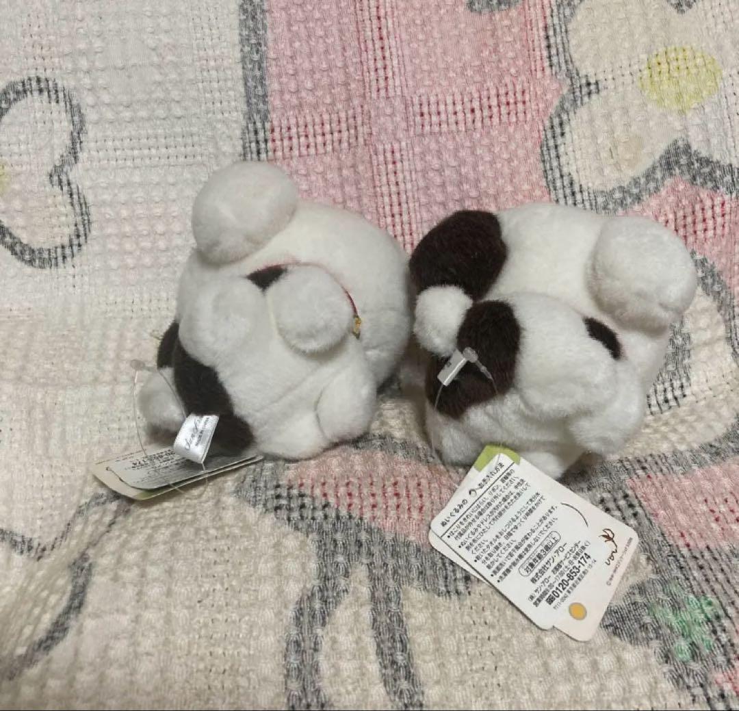 NHK 2008 Little Charo チャロ　ぬいぐるみ　中古品