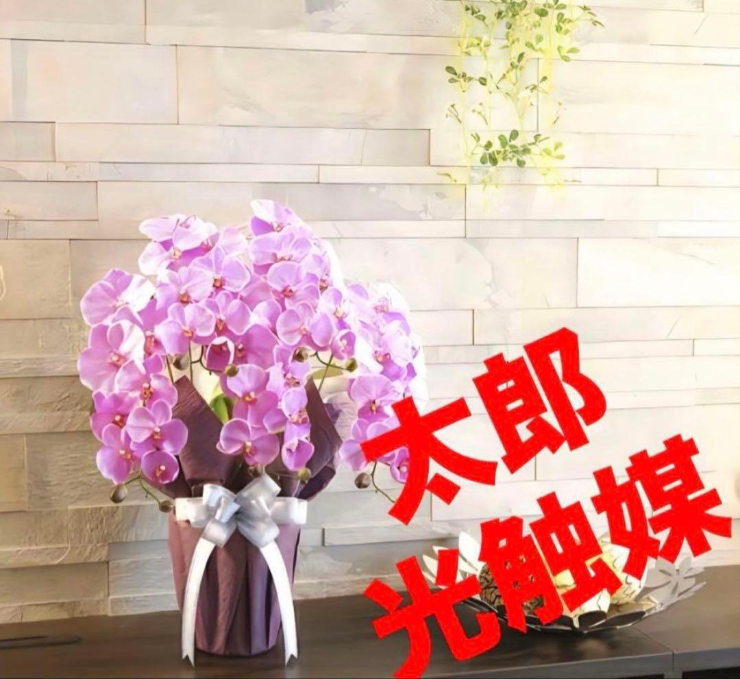 光触媒　人工観葉植物　フェイクグリーン　エレガント胡蝶蘭5本立L