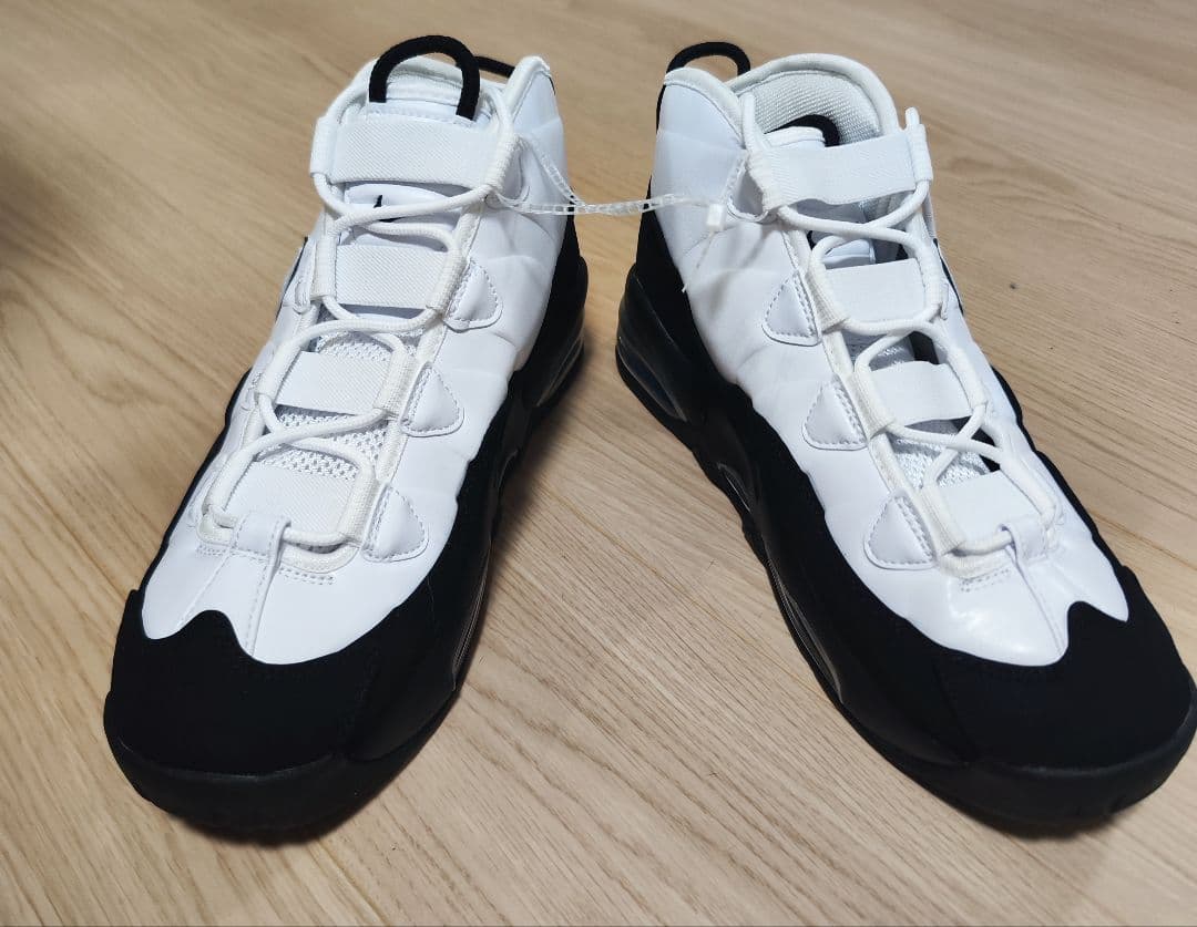 国内未発売　Nike AirMax Uptempo95 エアマックス28.5cm