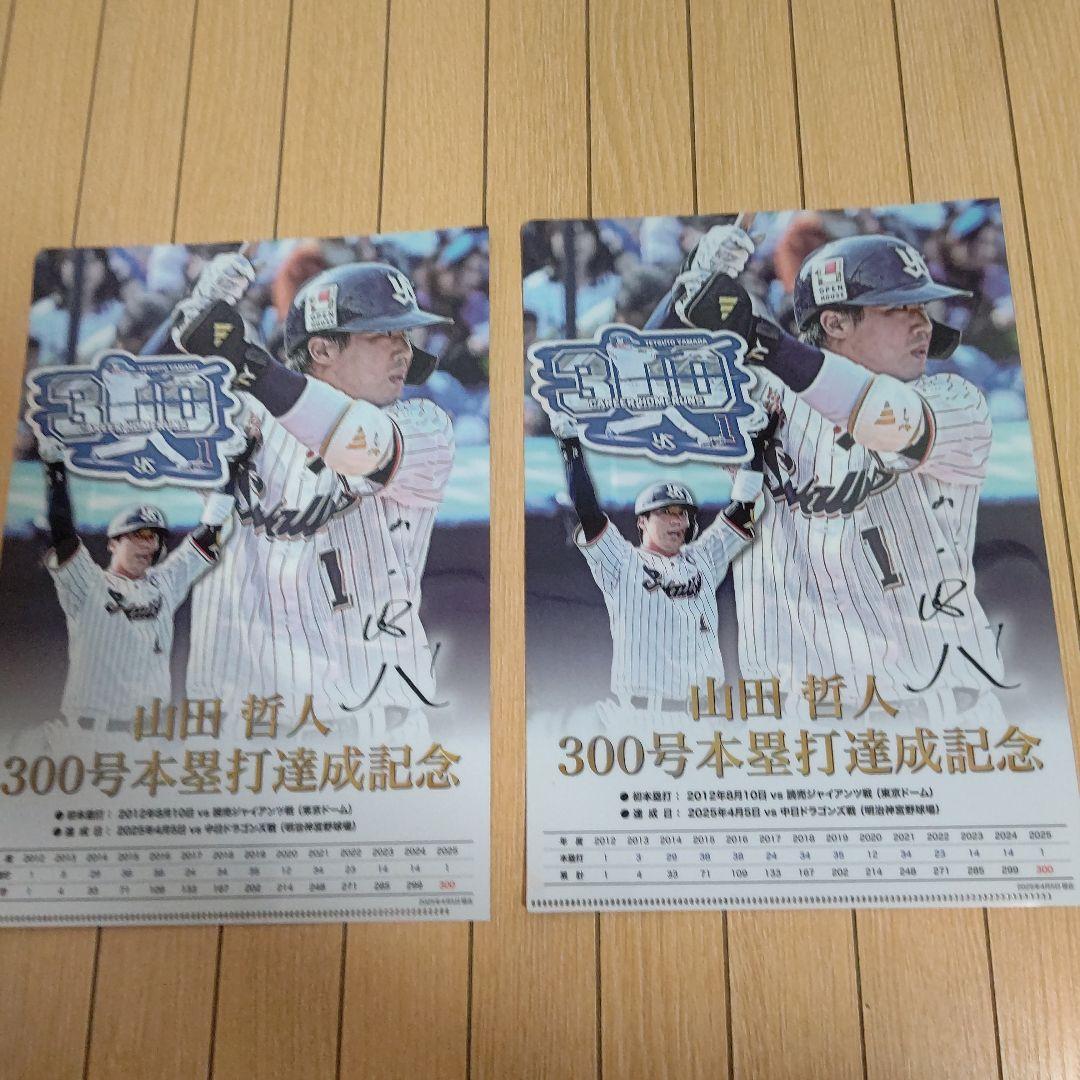 ヤクルトスワローズ ユニフォーム つば九郎 燕パワー 2896 ファイルなし