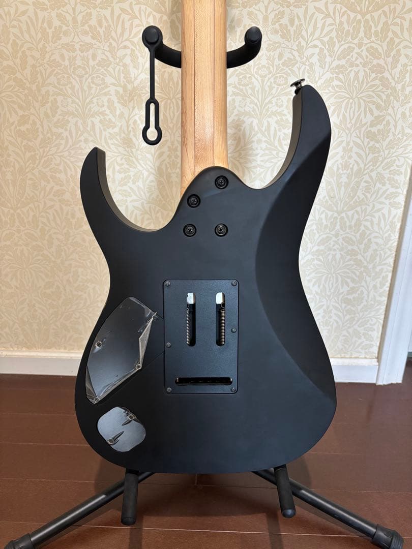 ギター Ibanez prestige RG1570