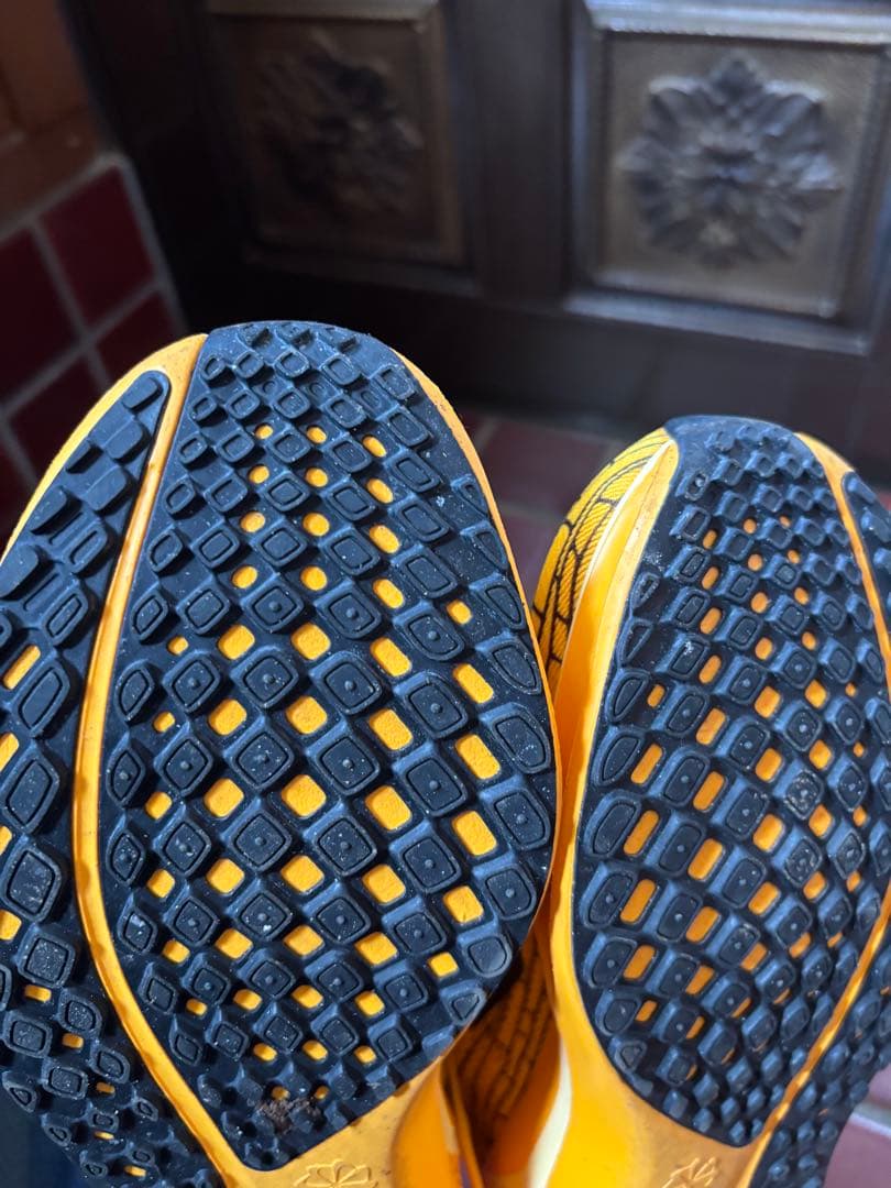 NIKE ナイキ　ペガサス41 メンズ25.5