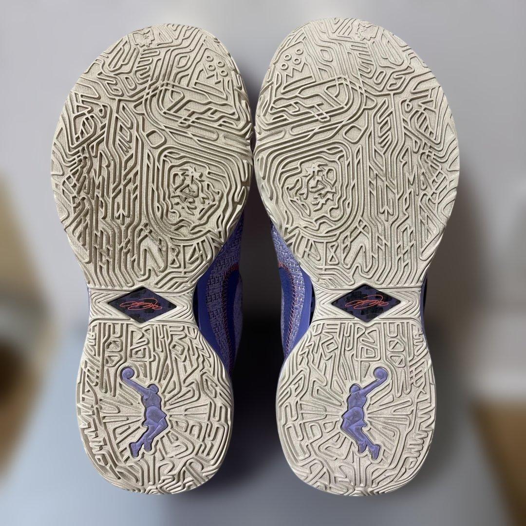 シューズ(男性用) NIKE LEBRON XX EP