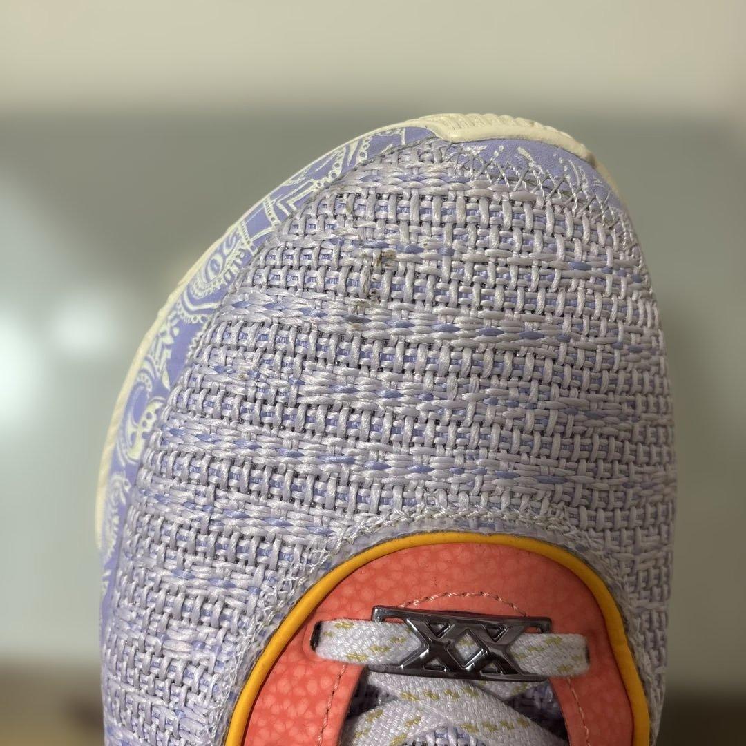 シューズ(男性用) NIKE LEBRON XX EP