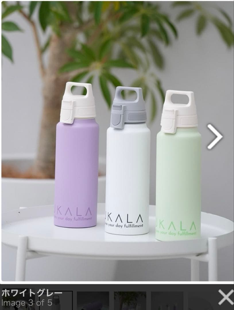 新品未開封 SUKALA ワイドマウスボトル SIGG 白 WEB限定デザイン