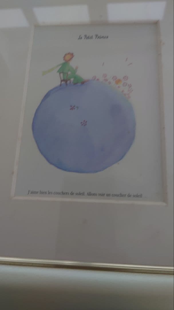 星の王子さまLe Petit Prince