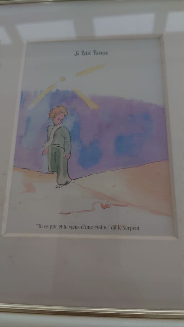 星の王子さまLe Petit Prince