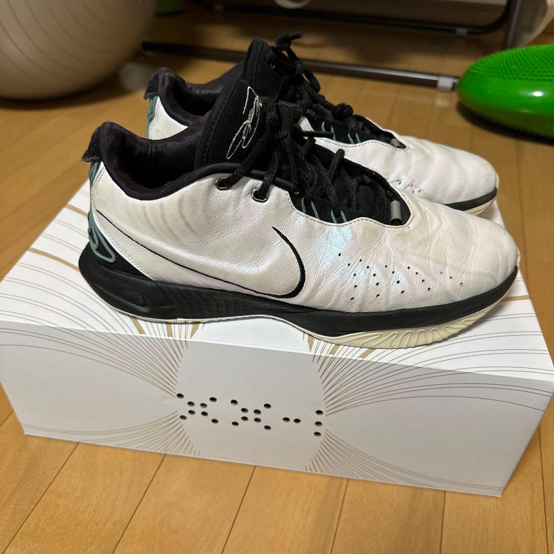 レブロン21 29センチ　NIKE レブロンジェームス