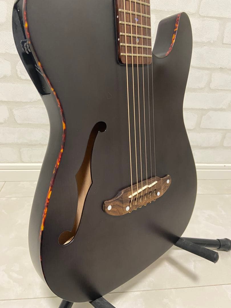 SCHECTER OL-FL STBK エレアコギター
