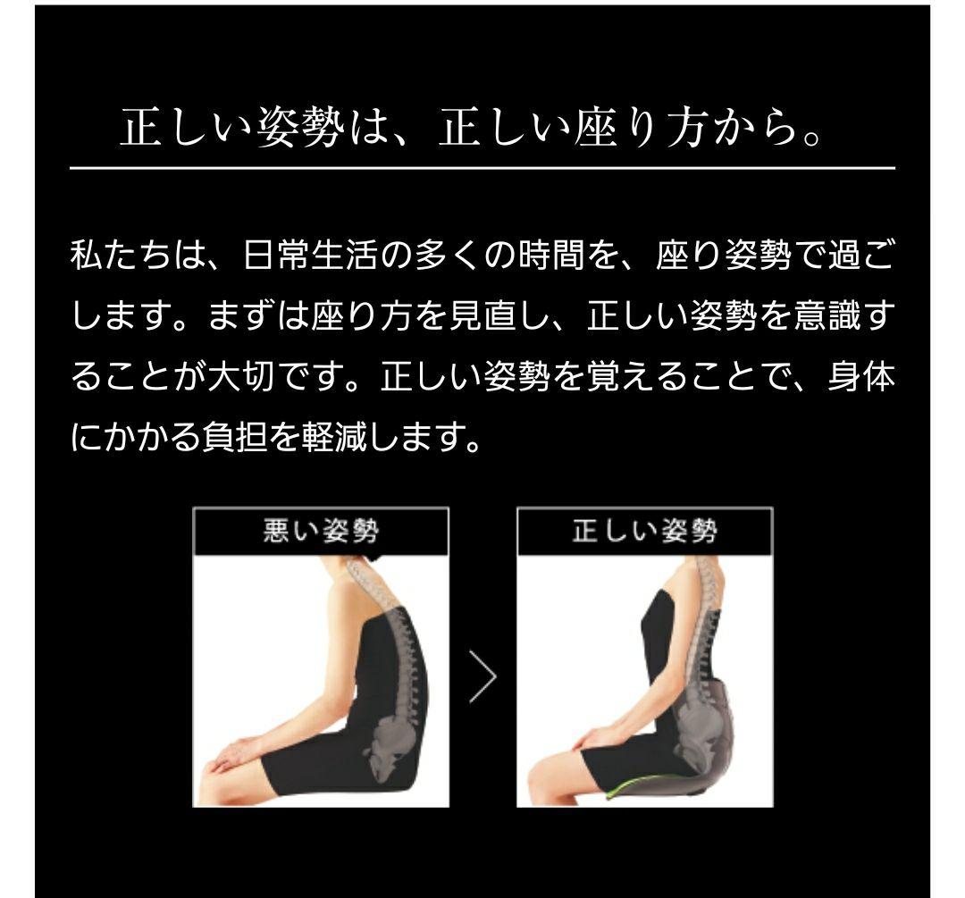 スタイルアスリート　style athlete　骨盤　体幹ポジショニングシート