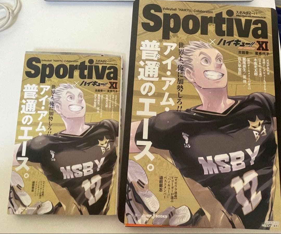 ハイキュー!! クリアファイル　アクリルスタンド　特典　応援団　クリアカード