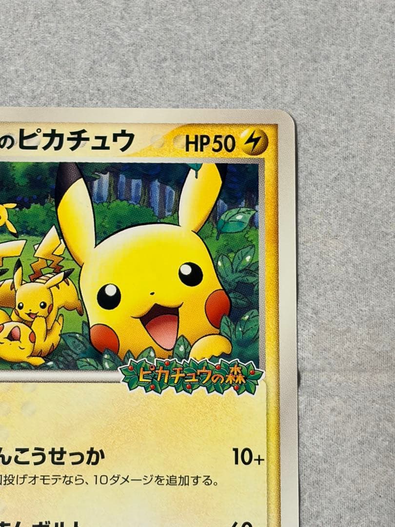 【美品】ポケパークのピカチュウ 043/PCG-P ピカチュウの森 プロモ
