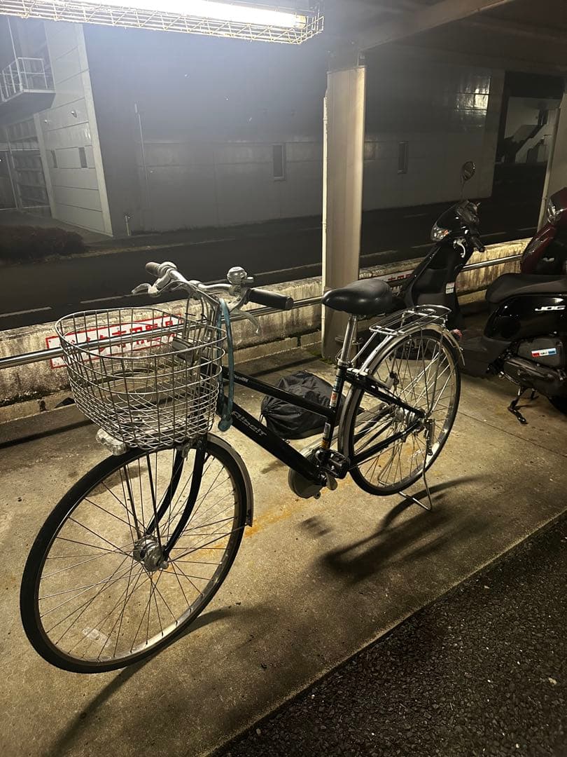ブリジストン　アルベルト　ロイヤル