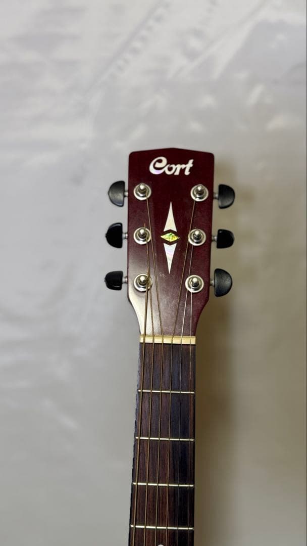 Cort アコースティックギター パープル