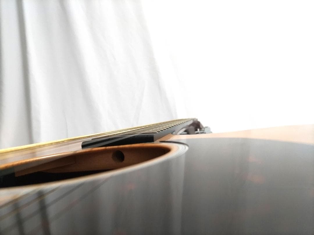 Martin エレアコ GPCPA4