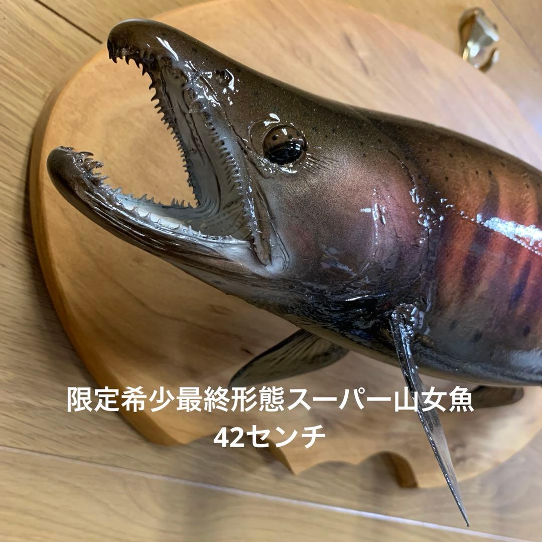 ラスト限定希少最終形態スーパー山女魚雄パーマーク42センチ　剥製エフクラフト