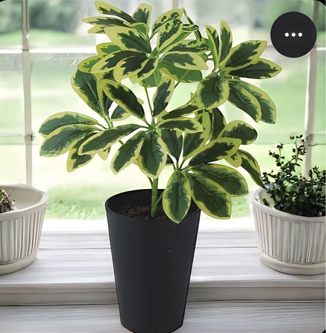 光触媒　人工観葉植物　ウォールグリーン　フェイクグリーン　イエローカポックS