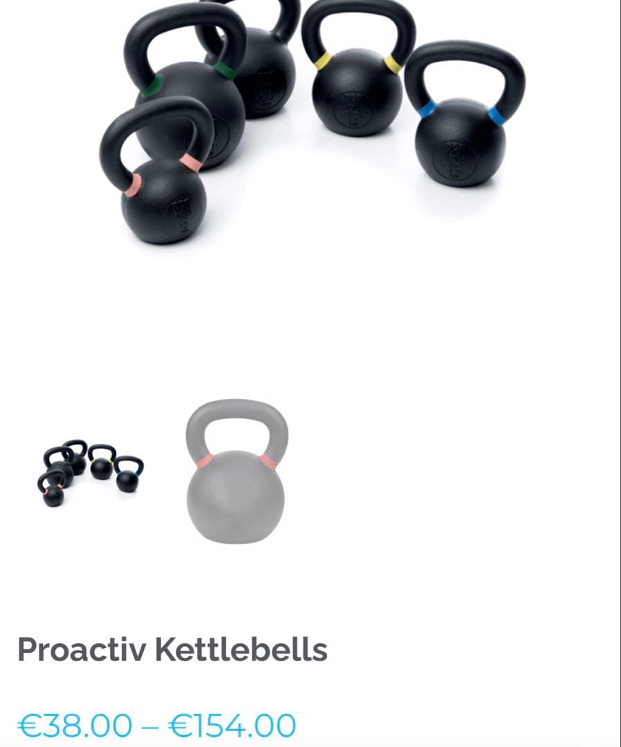ケトルベル　PRO ACTIVE(プロアクティブ) 20kg