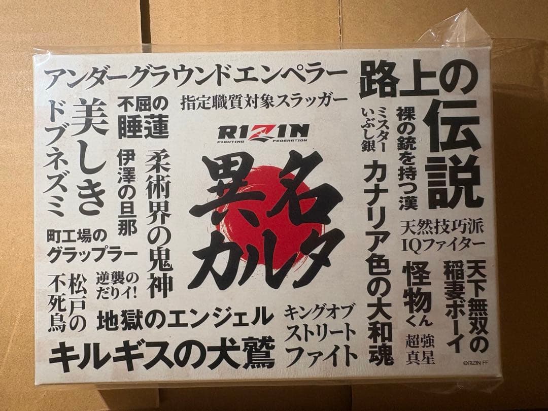 RIZINカルタくじプラ