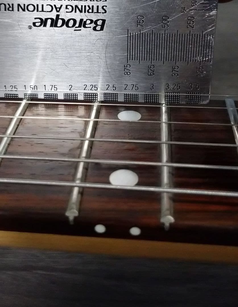 Burny バーニーシャチ FERNANDES
