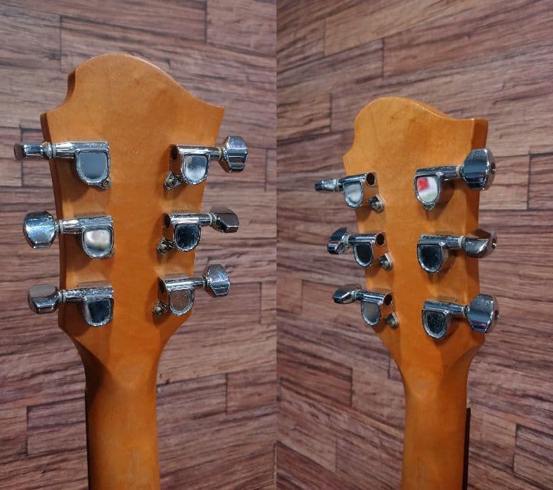 Burny バーニーシャチ FERNANDES