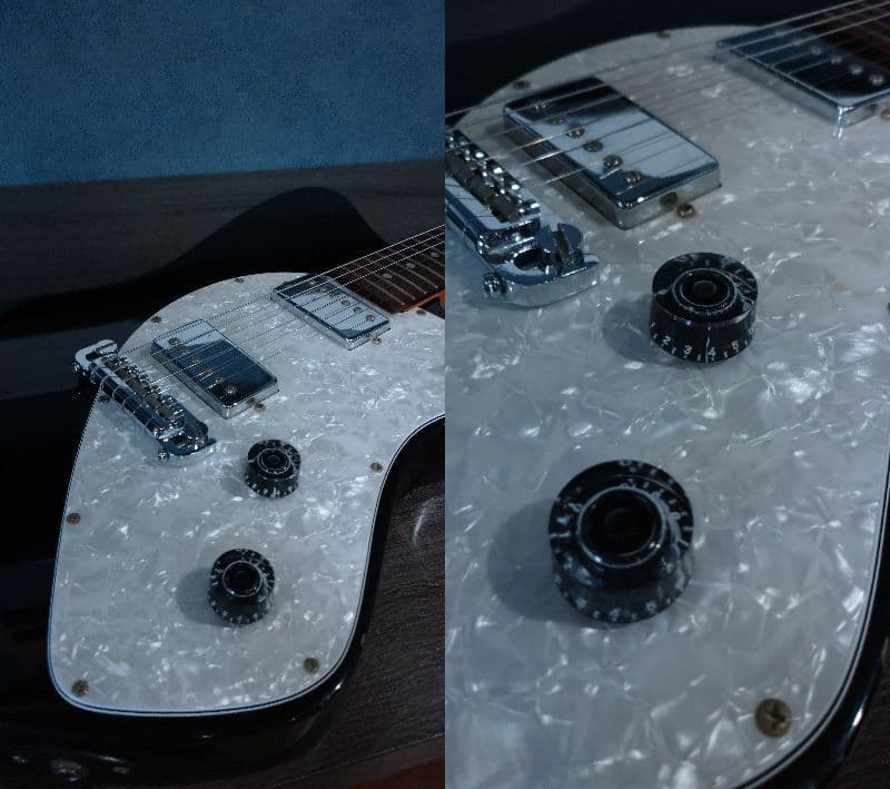 Burny バーニーシャチ FERNANDES