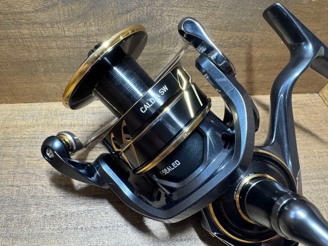 リール DAIWA CALDIA SW 6000D-H