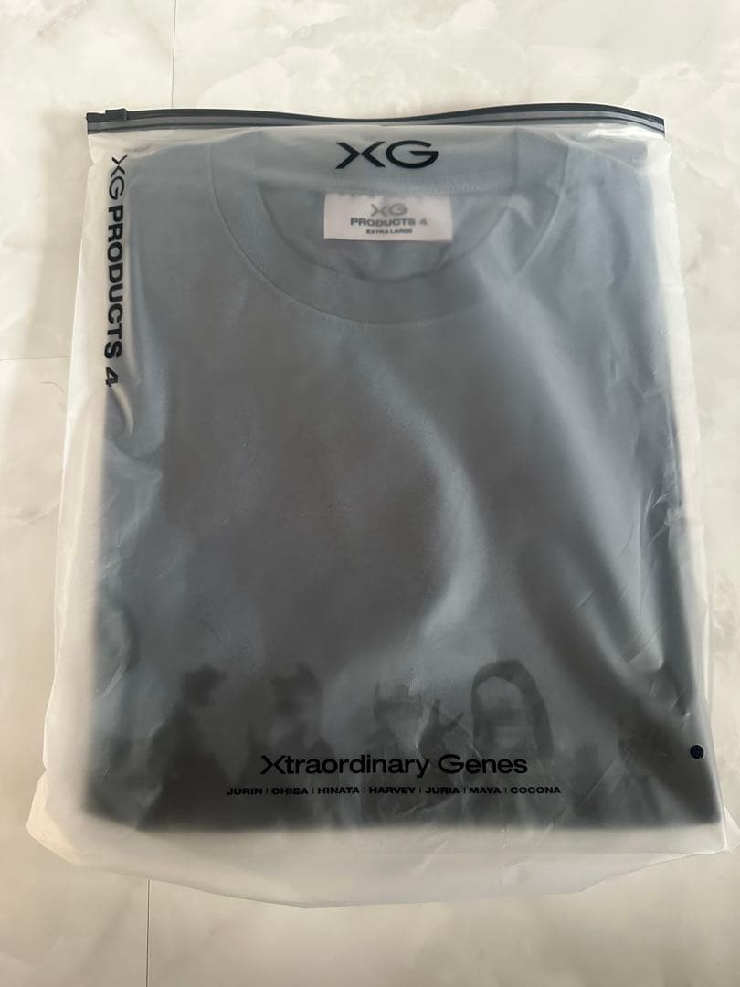 XG ロングスリーブTシャツ \"THE CORE\" / グレー