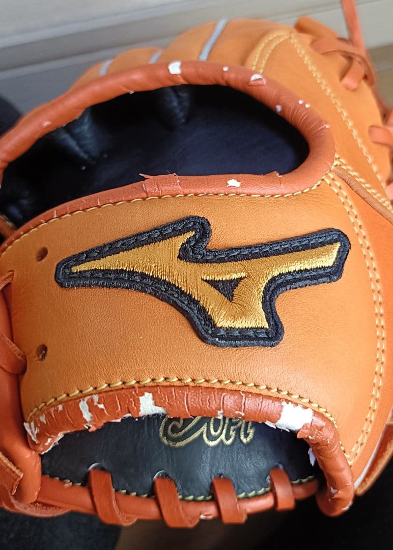 坂本勇人モデル限定品Mizuno Professional 一般用大人サイズ 9