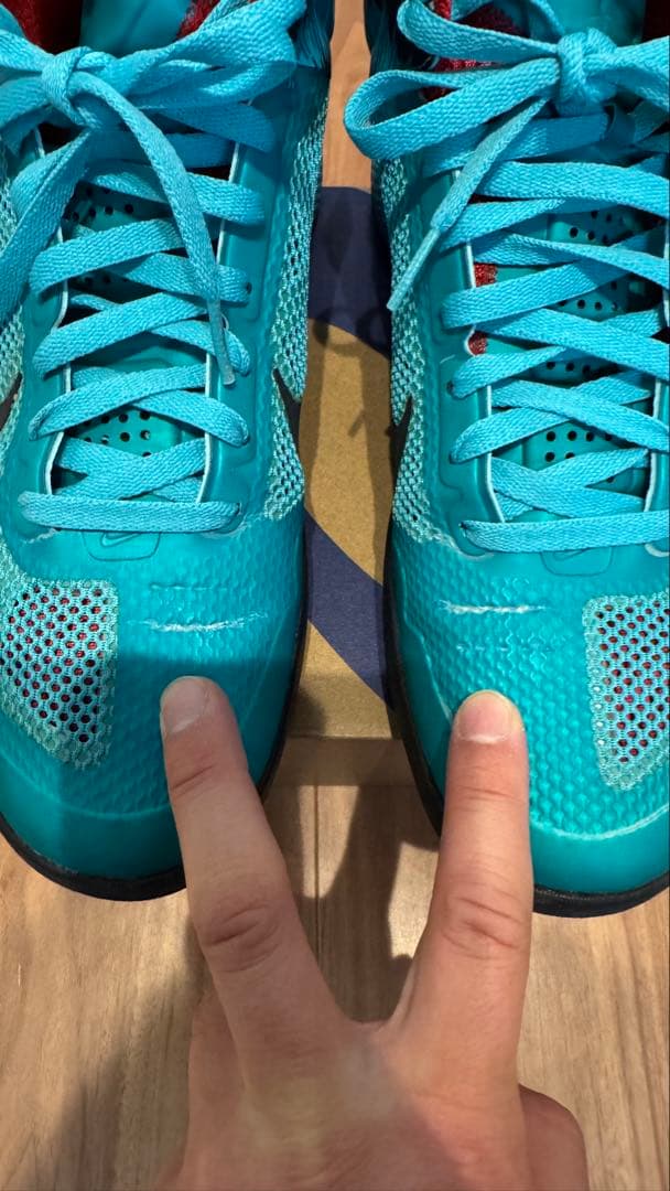 NIKE ZOOM HYPERFUSEバッシュ 407622-401 28cm