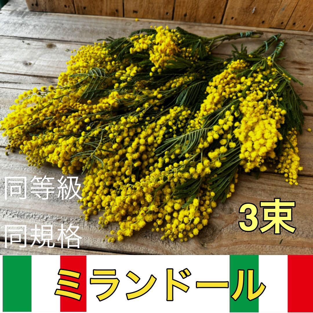 coco land ♡ flower様 リクエスト 2点 まとめ商品
