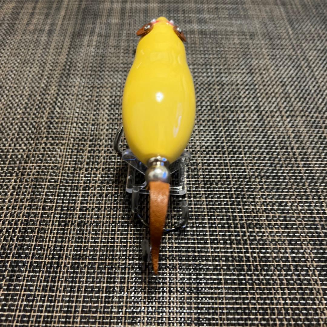 道楽　DOWLUCK アグアラトン