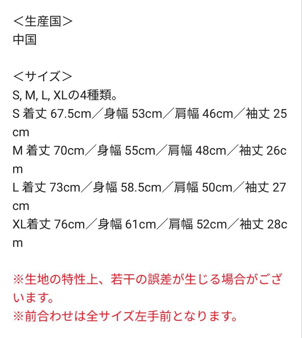 値引！斉藤和義 ROCK'N ROLL CAN NEVER DIEワークシャツS