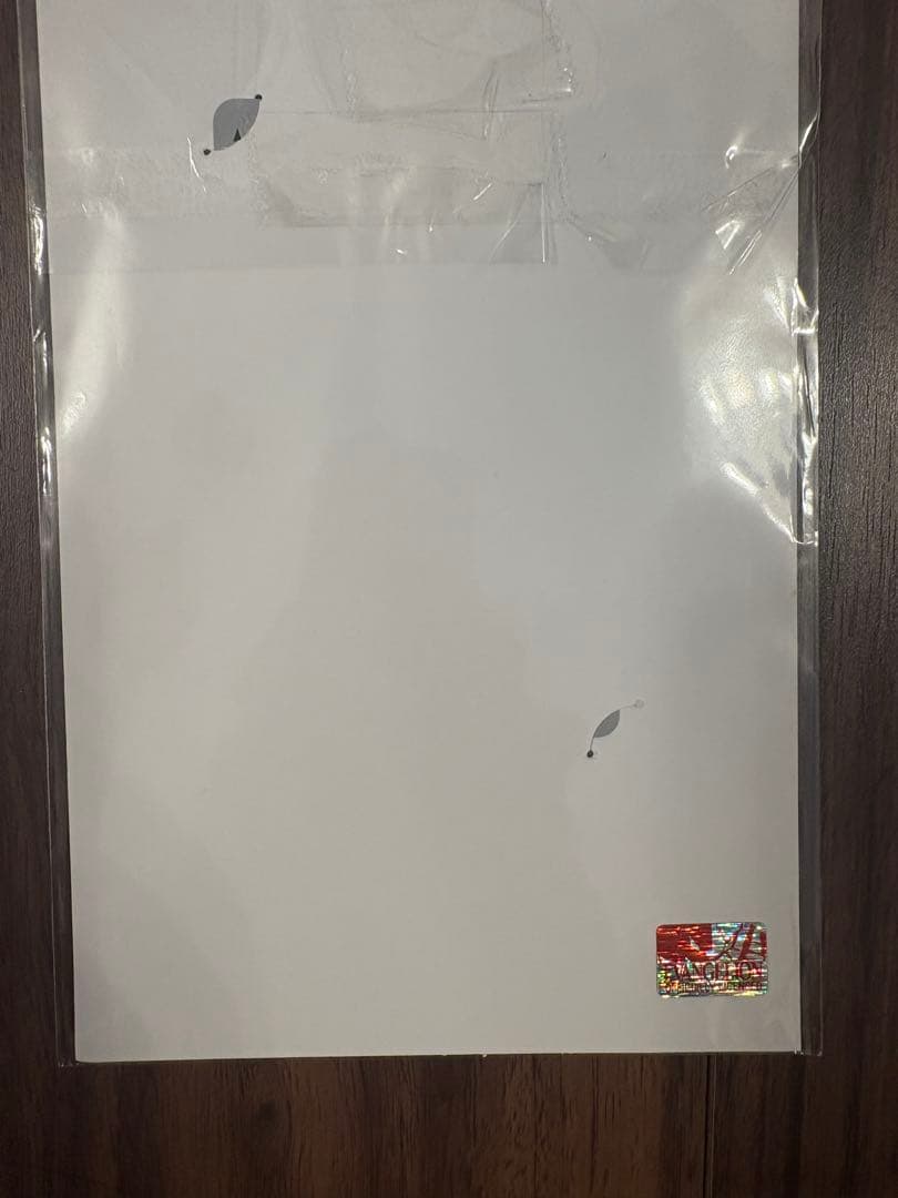 ⭐️レア　美品⭐️ エヴァストア公式使用済み図書カード　アスカレイカヲル