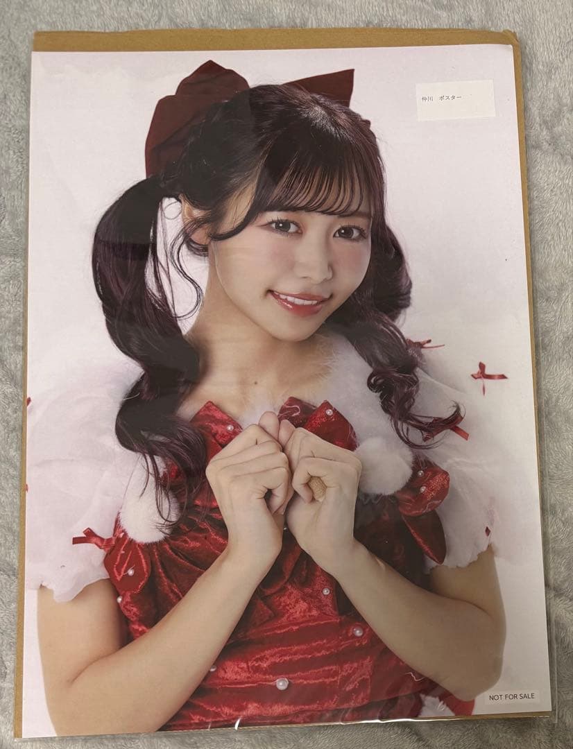 FRUITS ZIPPER 仲川瑠夏 A3ポスター ふるっぱー オン特