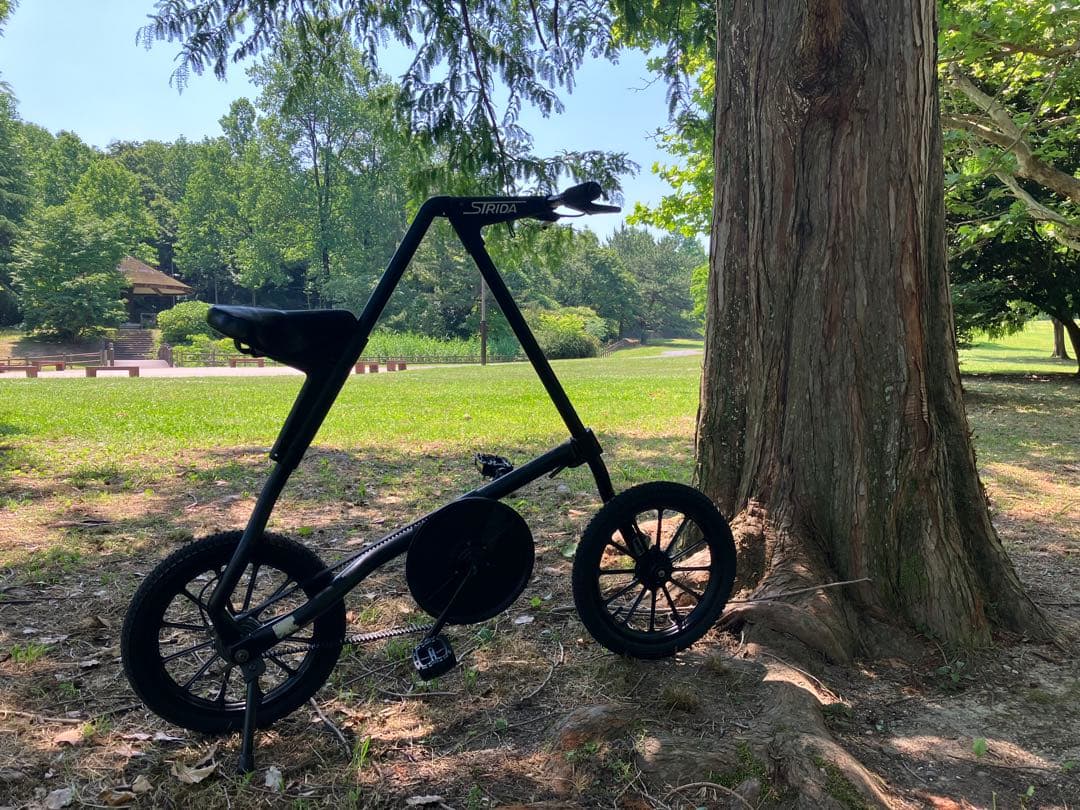 STRIDA MK1 (BMXタイヤ) ジャンク