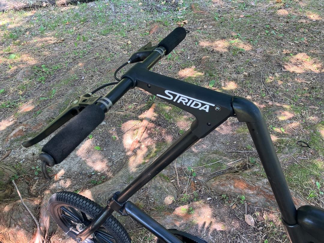 STRIDA MK1 (BMXタイヤ) ジャンク