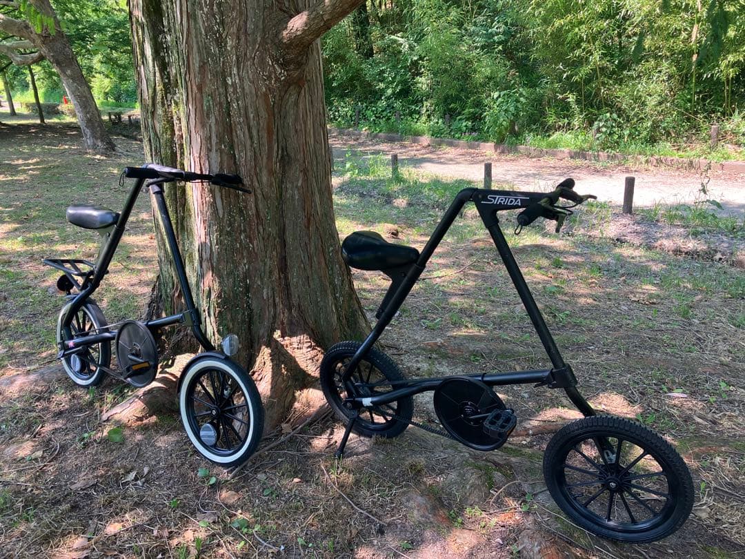 STRIDA MK1 (BMXタイヤ) ジャンク