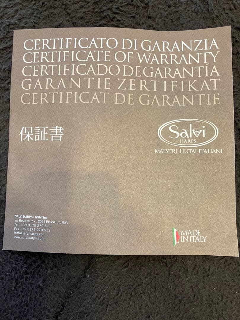 美品　サルビィハープ　イタリア製(値下げ不可)