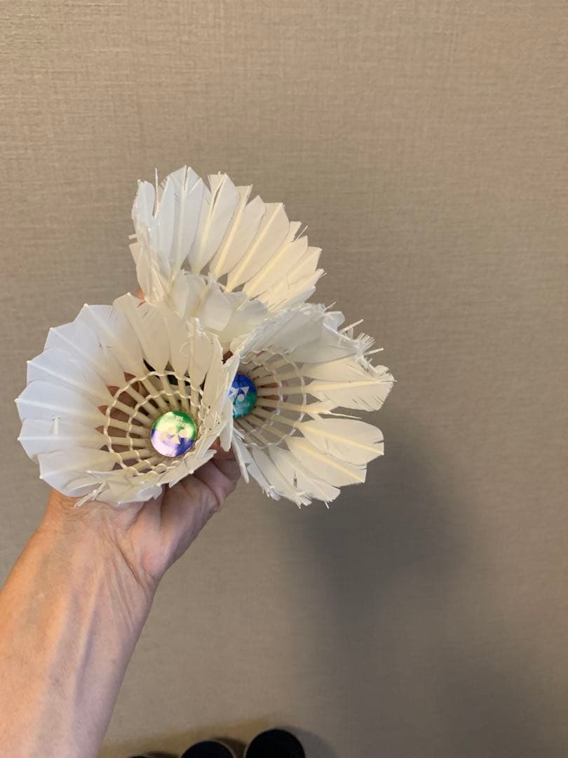 バトミントン中古シャトル