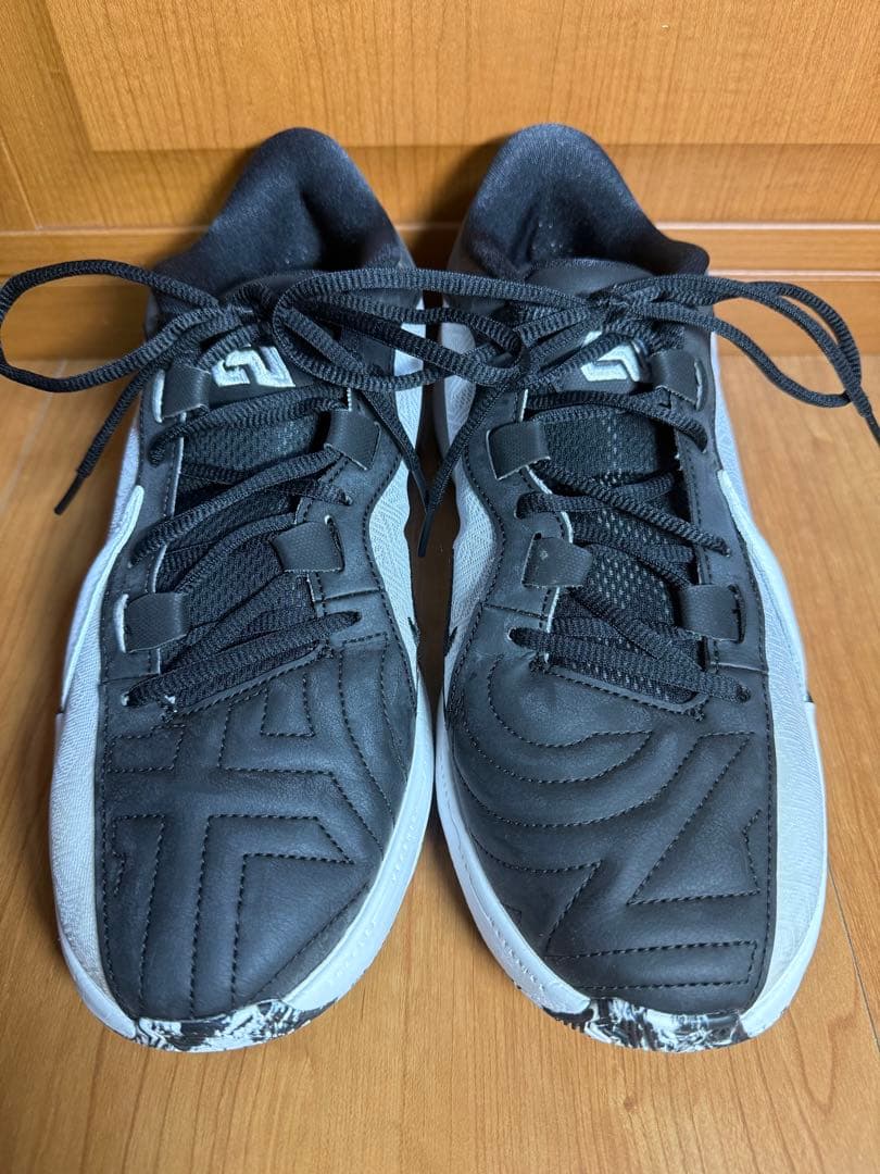 NIKE フリーク5EP 【28センチ】