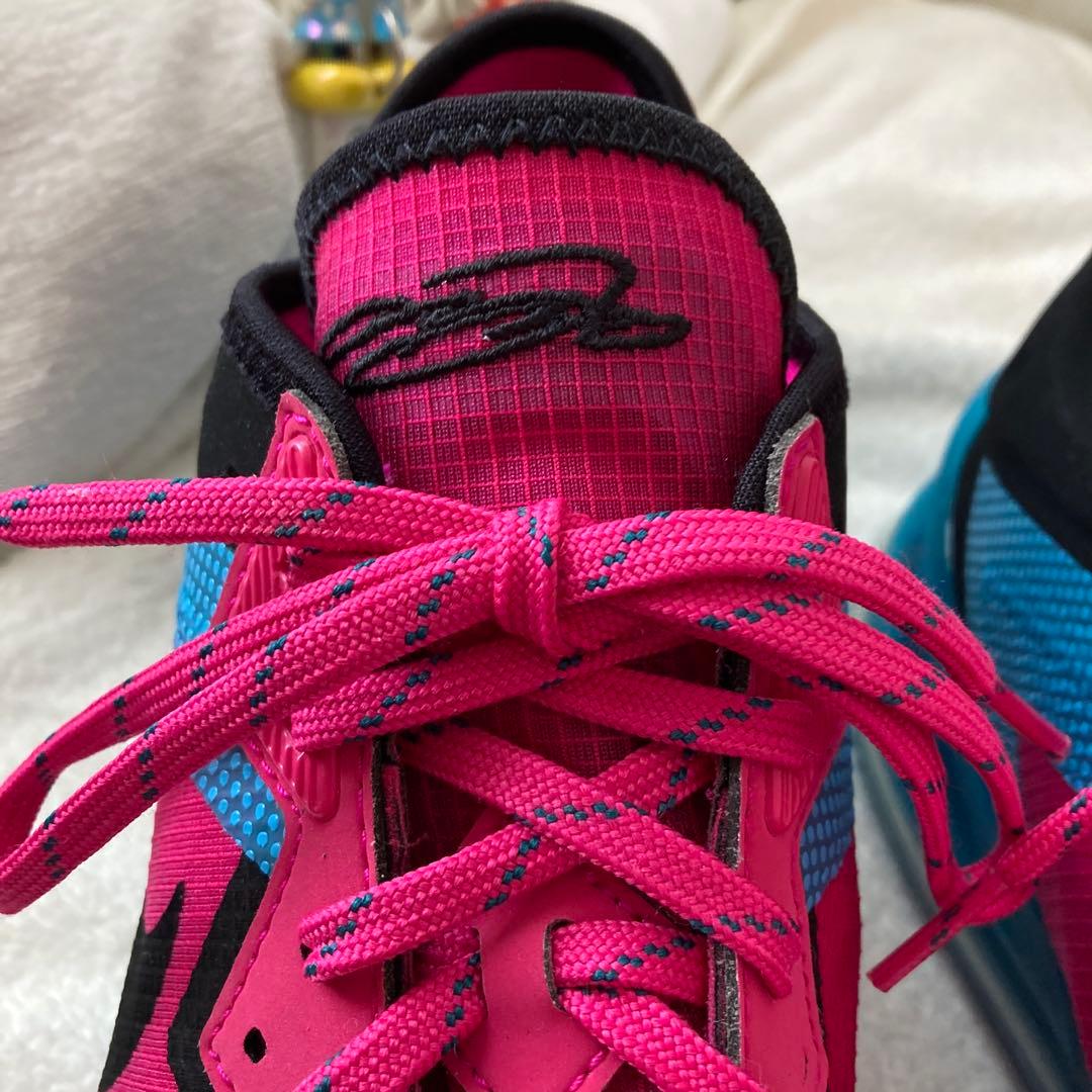 Nikeナイキスニーカー 【CV7562-600】 サイズ (31cm)