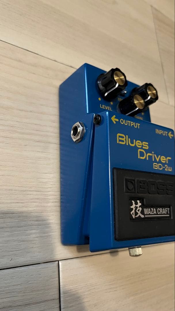 ギター BD-2W Blues D