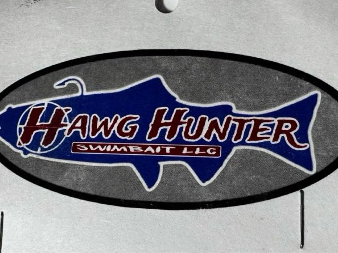 日本未発売　Hawg Hunter マグナムトラウト9.5inch
